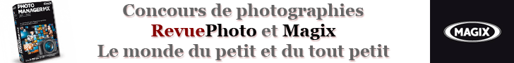Concours photo