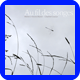 Vincent munier - au fil des songes - livre et media